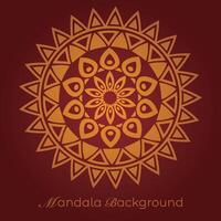 mandala background with a circular design vector