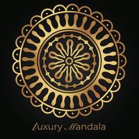 mandala background with a circular design vector