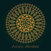 mandala background with a circular design vector