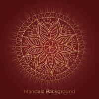 mandala background with a circular design vector