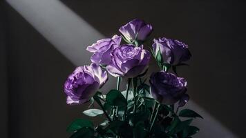 AI generated Purple roses in abstract shot with beam of light, top left photo