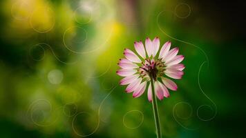 AI generated Bokeh background of wild forest flower with unique swirls photo