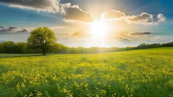 ai generado vívido Brillo Solar en primavera prado paisaje, naturaleza antecedentes foto