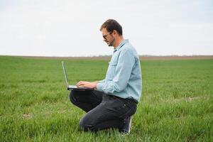 farmer standing in young wheat field examining crop and looking at laptop. photo