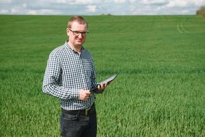 Young farmer on a wheat field. Young wheat in spring. Agriculture concept. An agronomist examines the process of ripening wheat in the field. The concept of the agricultural business. photo