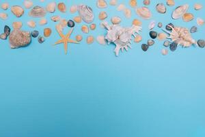 Flat lay. Top view. Frame of shells of various kinds on a blue background. Seashells and starfish on a pastel background. Vacation concept. travel concept. with copy space photo