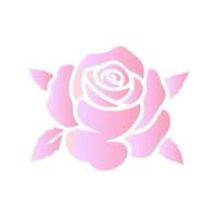 Rosa flor de floreciente planta. jardín Rosa aislado icono de rosado florecer, pétalo y brote con verde vástago y hoja para romántico floral decoración, Boda ramo de flores y enamorado saludo tarjeta vector