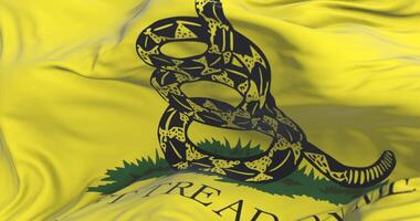 Gadsden Don't Tread On Me Flag waving at wind in slow with blue sky, loop video