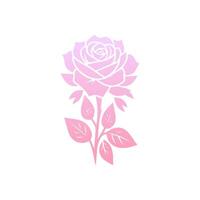 Rose flower of blooming plant. Garden rose isolated icon of pink blossom, petal and bud with green stem and leaf for romantic floral decoration, wedding bouquet and valentine greeting card vector