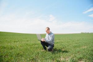 Farmer with laptop Inspecting Wheat on the field photo