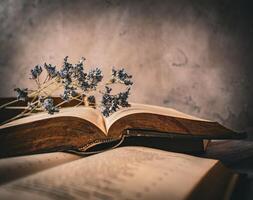 Old books and flowers photo