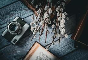 antiguo libros, un antiguo cámara y coño sauce foto