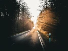 country road in the morning photo