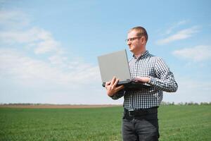 farmer standing in young wheat field examining crop and looking at laptop. photo