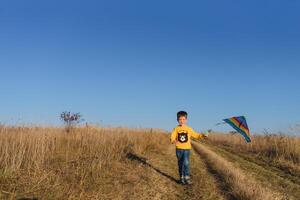 contento niño jugando con un cometa mientras corriendo en prado, atardecer, en verano día. gracioso hora con familia. pequeño chico lanzamiento un cometa. foto