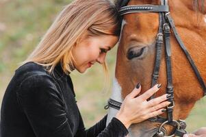 joven mujer fisioterapeuta tomando cuidado un marrón caballo. mujer haciendo un tratamiento en el hombro, cresta, frente, bozal y barbilla ranura. foto