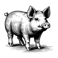 AI generated hand draw black sketch Big fat pig vector illustration isolated on white background