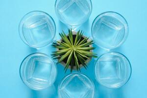 Drinking water. Fresh water in glasses on blue background photo