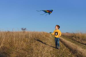 pequeño chico con cometa volador terminado su cabeza foto