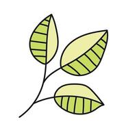 Tree leaves. Vector illustration in doodle style