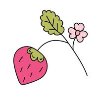 Strawberry. Vector illustration in doodle style