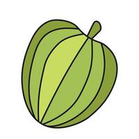 Abstract apple. Vector illustration in doodle style.