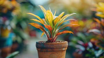 ai generado en conserva planta con rojo y amarillo hojas foto