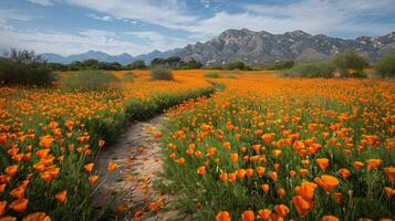 AI generated Path Through Field of Flowers photo