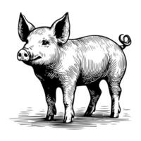 AI generated hand draw black sketch Big fat pig vector illustration isolated on white background