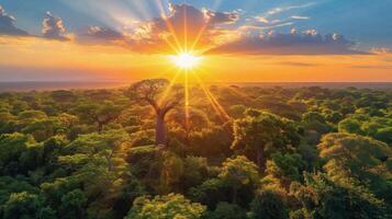 AI generated Sun Setting Over Trees in Forest photo
