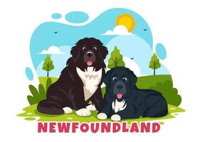 Newfoundland Dog Animals Vector Illustration with Black, Brown or Landseer Color in Flat Style Cute Cartoon Nature Background Design