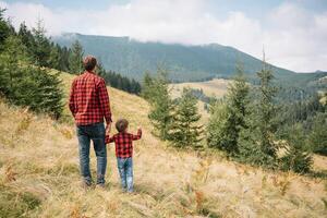 joven padre con bebé chico de viaje. padre en excursionismo aventuras con niño, familia viaje en montañas. nacional parque. caminata con niños. activo verano vacaciones. foto