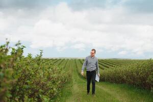 Modern agronomist with folder working on currant field at outdoor photo