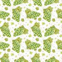 A bunch of green grapes, grape bones and leaves. Watercolor seamless pattern on white background. For fabric, packaging paper, scrapbooking, product packaging design vector