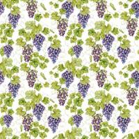A bunch of red grapes, vines with leaves. Watercolor seamless pattern on a white background. For fabric, packaging paper, scrapbooking, product packaging design vector