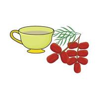 illustration of kurma with tea cup vector