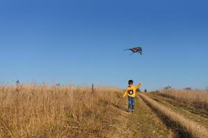 contento niño jugando con un cometa mientras corriendo en prado, atardecer, en verano día. gracioso hora con familia. pequeño chico lanzamiento un cometa. foto