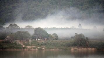 floresta incêndios durante uma quente ensolarado verão dia, floresta fogo dentro progresso, floresta incêndios destruindo e causando ar poluição, assustador incêndios, incêndios desastre conceito video