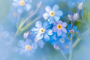 AI generated Springtime poetry Forget me not flowers blossom, creating a stunning macro composition photo