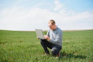 Man farmer working on a laptop in the field. Agronomist examines the green sprout winter wheat. photo