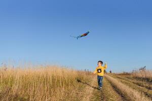 Happy child playing with a kite while running on meadow, sunset, in summer day. Funny time with family. Little boy launch a kite. photo