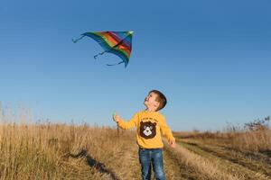 Happy child playing with a kite while running on meadow, sunset, in summer day. Funny time with family. Little boy launch a kite. photo