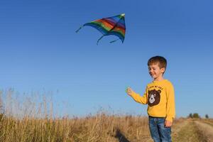 pequeño chico jugando con cometa en prado. infancia concepto foto