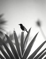 AI generated close-up photograph of a palm with a bird on top photo