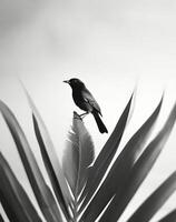 AI generated close-up photograph of a palm with a bird on top photo