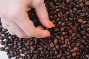 Coffee beans in woman's hands. photo