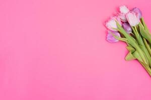 Floral background with tulips flowers on pink pastel background. Flat lay, top view. Woman day background. photo