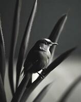ai generado de cerca fotografía de un palma con un pájaro en parte superior foto