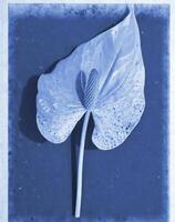 AI generated a flat scan of a cyanotype of a flower with blue paper photo