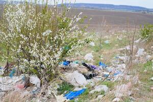 ecológico contaminación de naturaleza. el plastico bolso enredado en plantas en contra el fondo de el montañas. global ambiental contaminación. reciclaje, claro el tierra desde el plastico escombros. foto